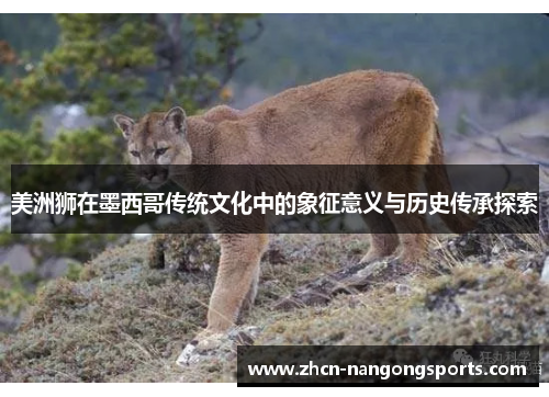 美洲狮在墨西哥传统文化中的象征意义与历史传承探索
